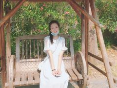 -合肥滨湖国家森林公园