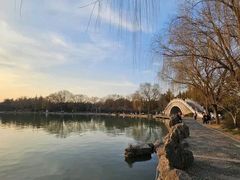 -洛阳市隋唐城遗址植物园