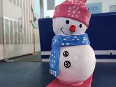 -绍兴启迪乔波冰雪世界