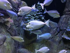 -成都浩海立方海洋公园