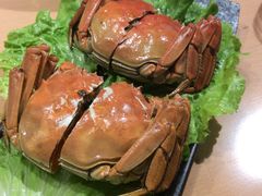 -旺小胖小龙虾