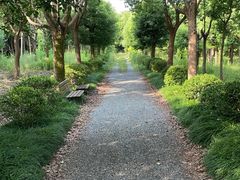 -嘉北郊野公园