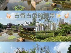 -广东花都湖国家湿地公园