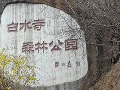-白水寺森林公园