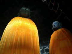 -白水寺森林公园