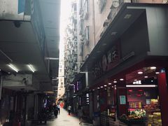 -汕尾菜粿(向西老店)