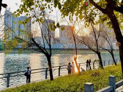-东山湖公园