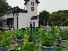 -无锡蠡湖国家湿地公园-蠡园