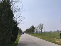 -汉长安城未央宫国家考古遗址公园