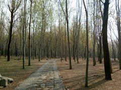 -森林公园(尖草坪区)