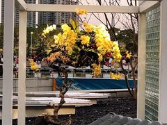 -海心沙亚运公园