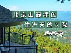 -1982农场
