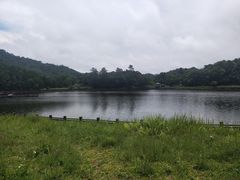 -海南热带雨林国家公园吊罗山景区