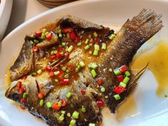 -刘胖子家常菜·蹄花焖藕(兴业店)