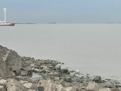 -上海滨江森林公园