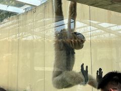 -合肥野生动物园