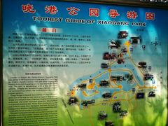 -晓港公园