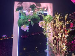 -花博汇(知音花月夜)