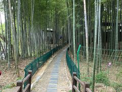 -宝岩生态观光园