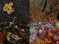 -秦岭风景区
