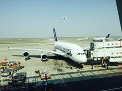 -新加坡航空公司(ION)