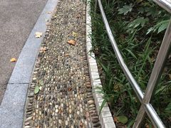-华山儿童公园