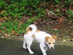 -苏州环秀晓筑养生度假村