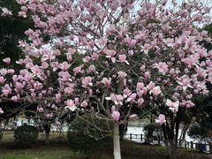 -武汉交通职业学院