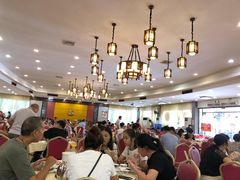 -鸽王世家(东华东路店)