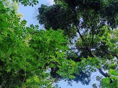 -行人小筑·茶馆(岑村火炉山分店)