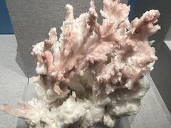 -贵州省地质博物馆