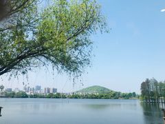 -东湖食堂·湖景餐厅•会议