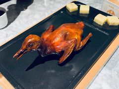 -大鸽饭(体育西路店)