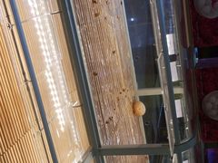 -好利来(太平邻里中心店)