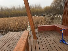 -东郊湿地公园