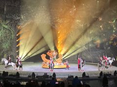 -广州长隆国际大马戏