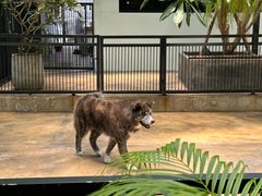 -TrueLove @ Neverland (Husky Cafe)