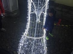 -龙环葡韵住宅式博物馆