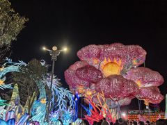 -淄博花灯齐彩城