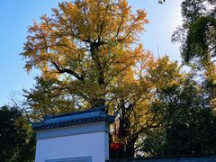 -西湖风景区十里琅珰-五云山