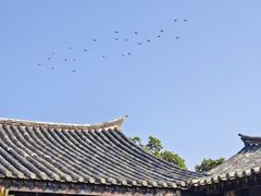 -朱家花园
