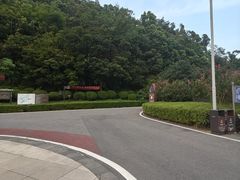 -桃花岭景区