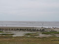 -南汇新城海滩