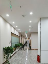 -碧莲盛·不剃发植发