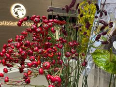 -植物学家的女儿(北马道巷店)