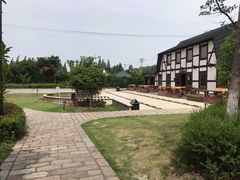 -金山农民画村-枫泾波兰倒置屋