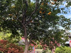 -祝家花園(伯渎港店)