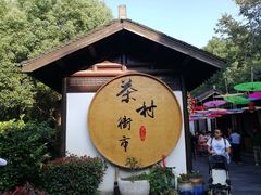 -天目湖山水园