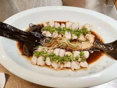-金洲美食(金州广场店)
