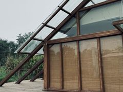 -桤木河湿地公园